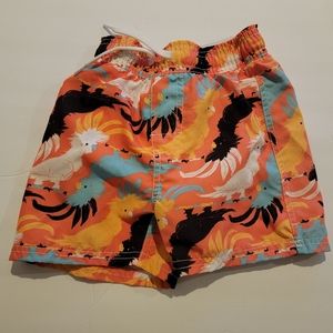 Toddler Wes & Willy Graphic Hybrid Shorts Size 4T Orange Parrot Cockateil